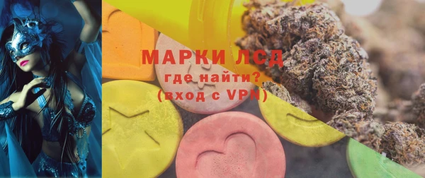 прущие грибы Алексеевка